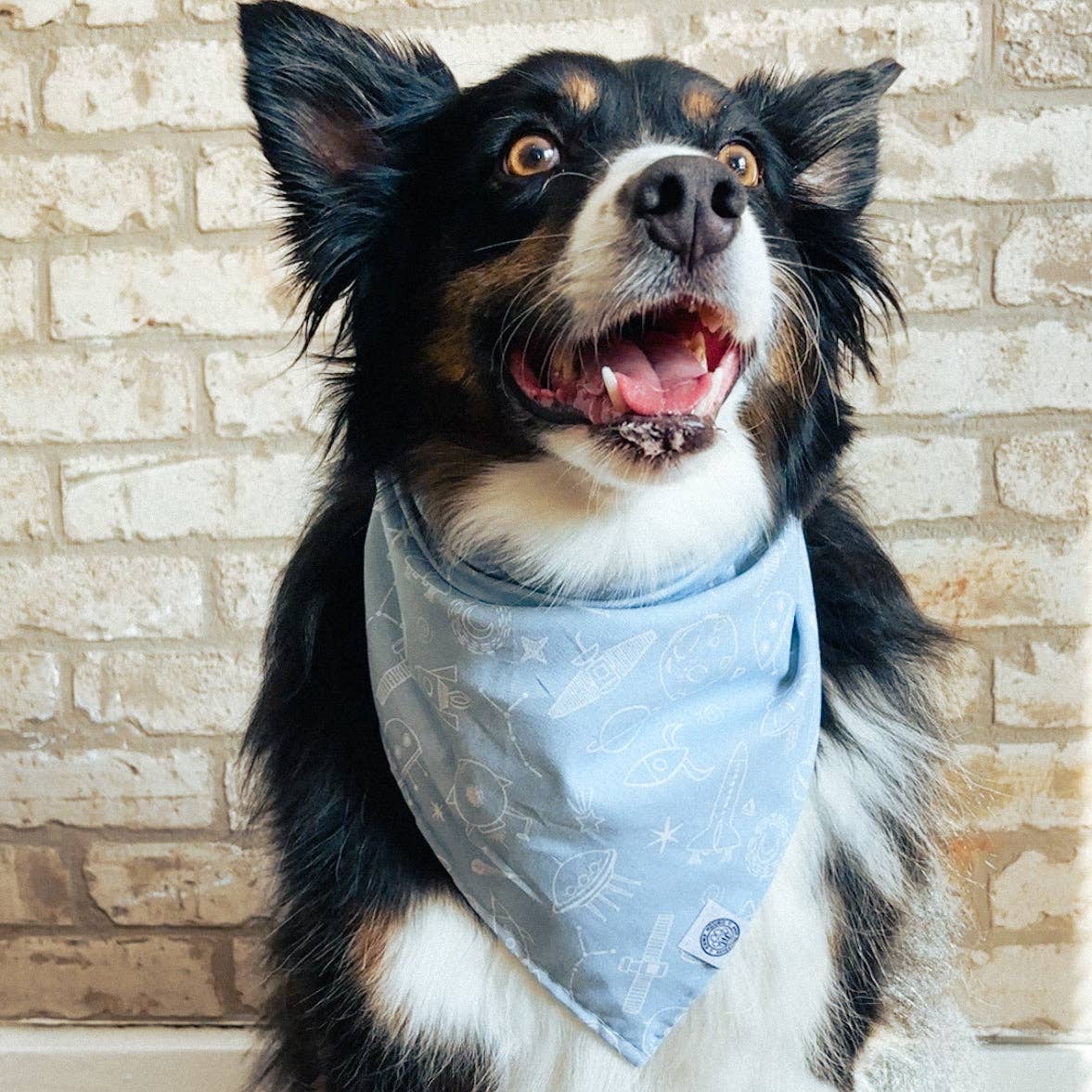 Cosmo Dog Bandana | Astronaut Space Planet Pet Accessory