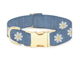 Daisy Embroidered Dog Collar