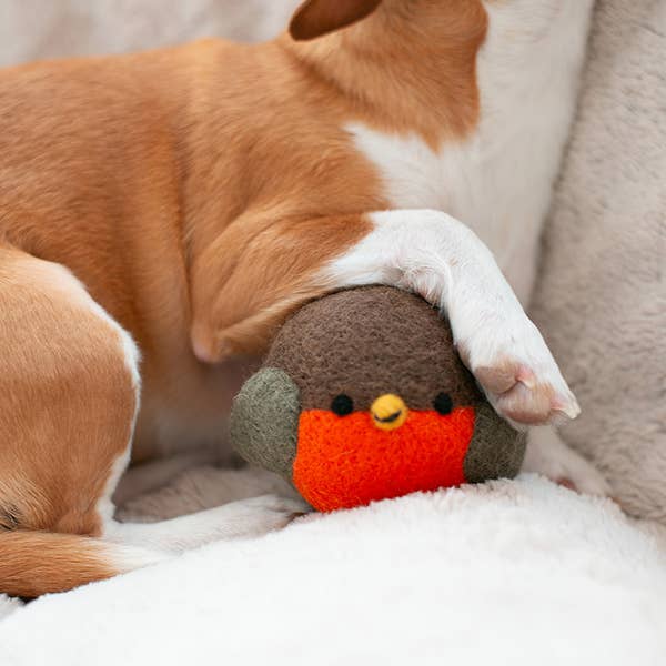 WOOL ROBIN BEASTBALL - DOG TOY