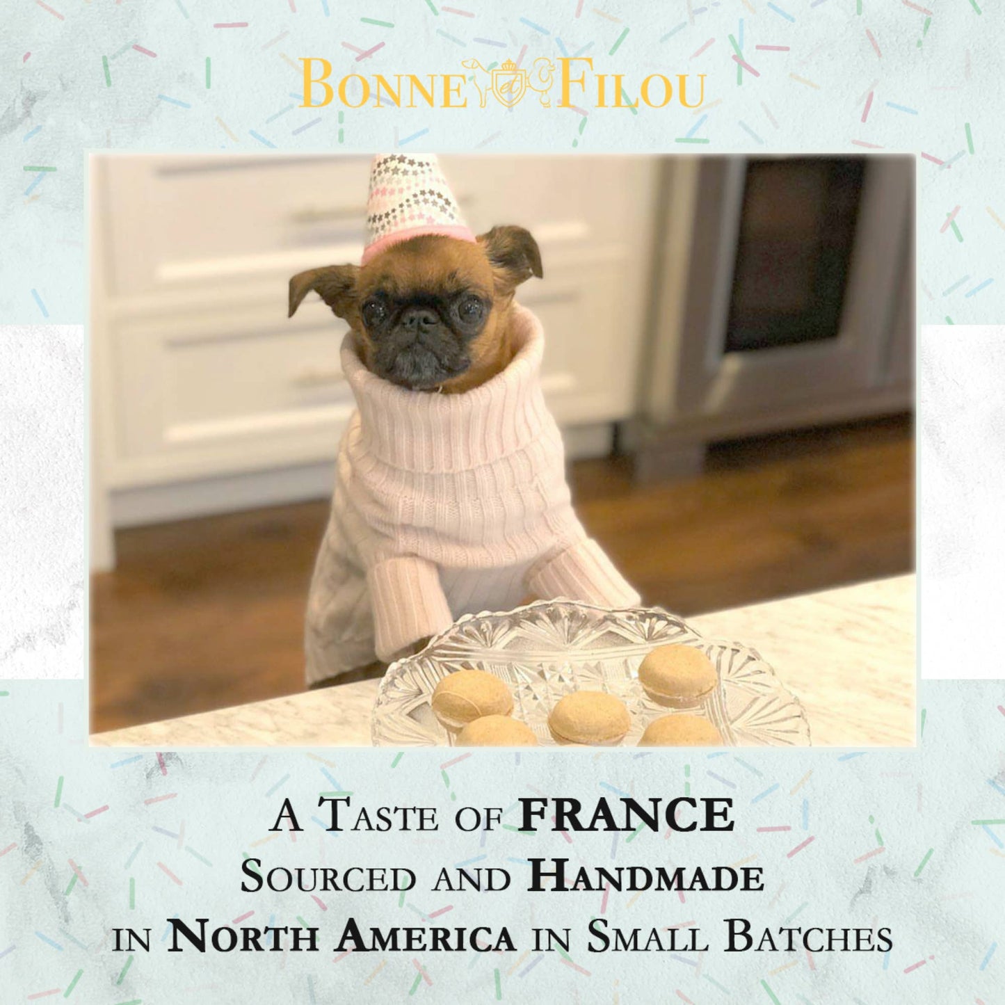 Bonne et Filou Dog Macarons | Crème Brûlée