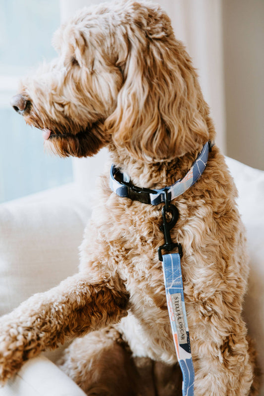 Floral Dog Collar