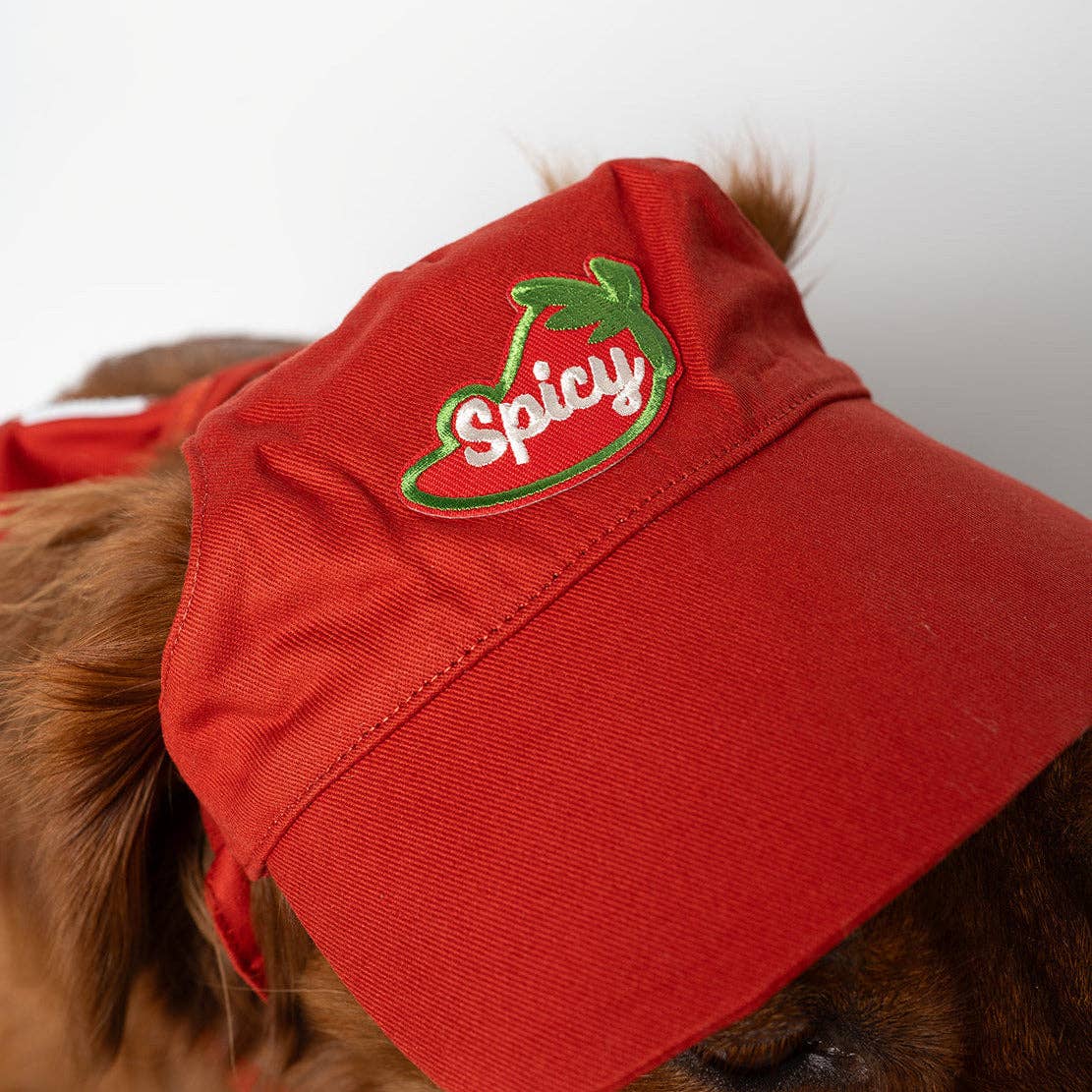 Spicy Pepper | Velcro or Iron-On Patch for Pets