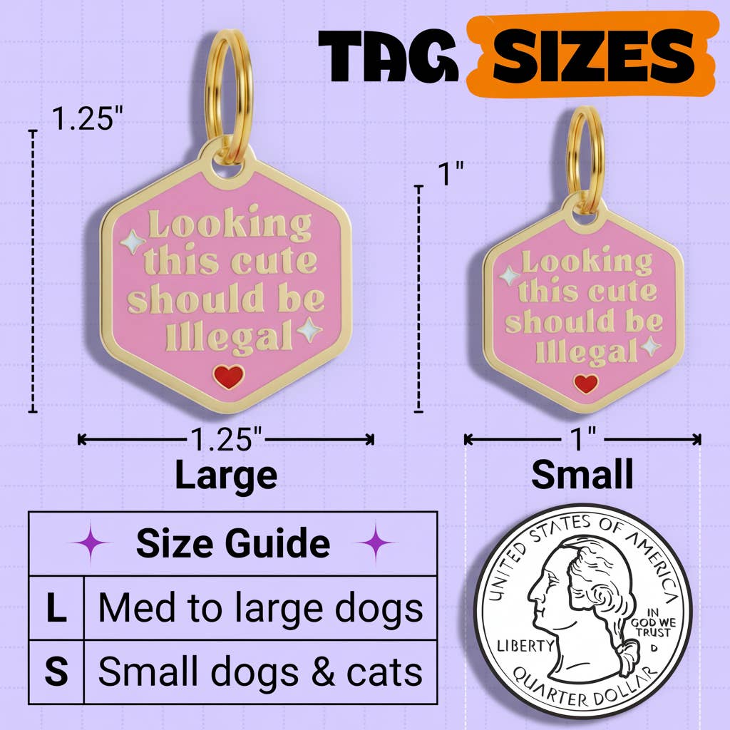 Funny Dog Tag Charm - Looking This Cute should be Illegal: Small / Engraved QR Code