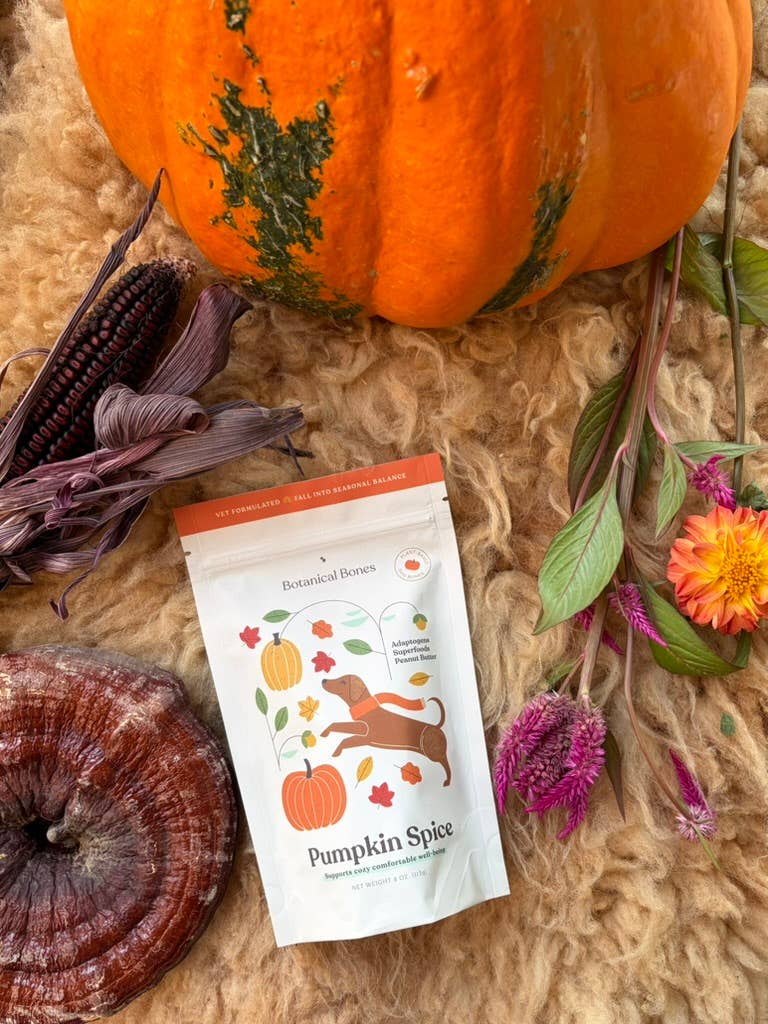 Pumpkin Spice Dog Treats