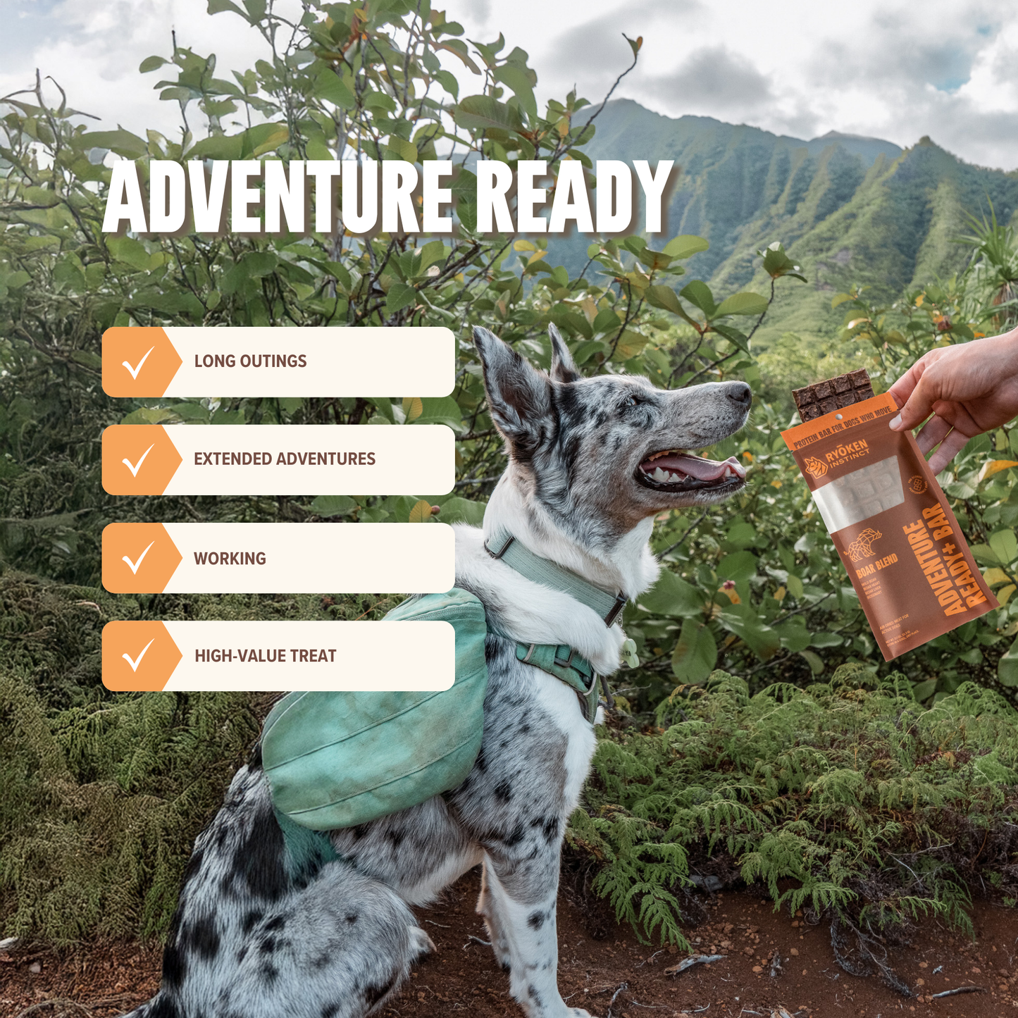 Boar Treat & Snack Bar for Active Dogs - Energy & Recovery