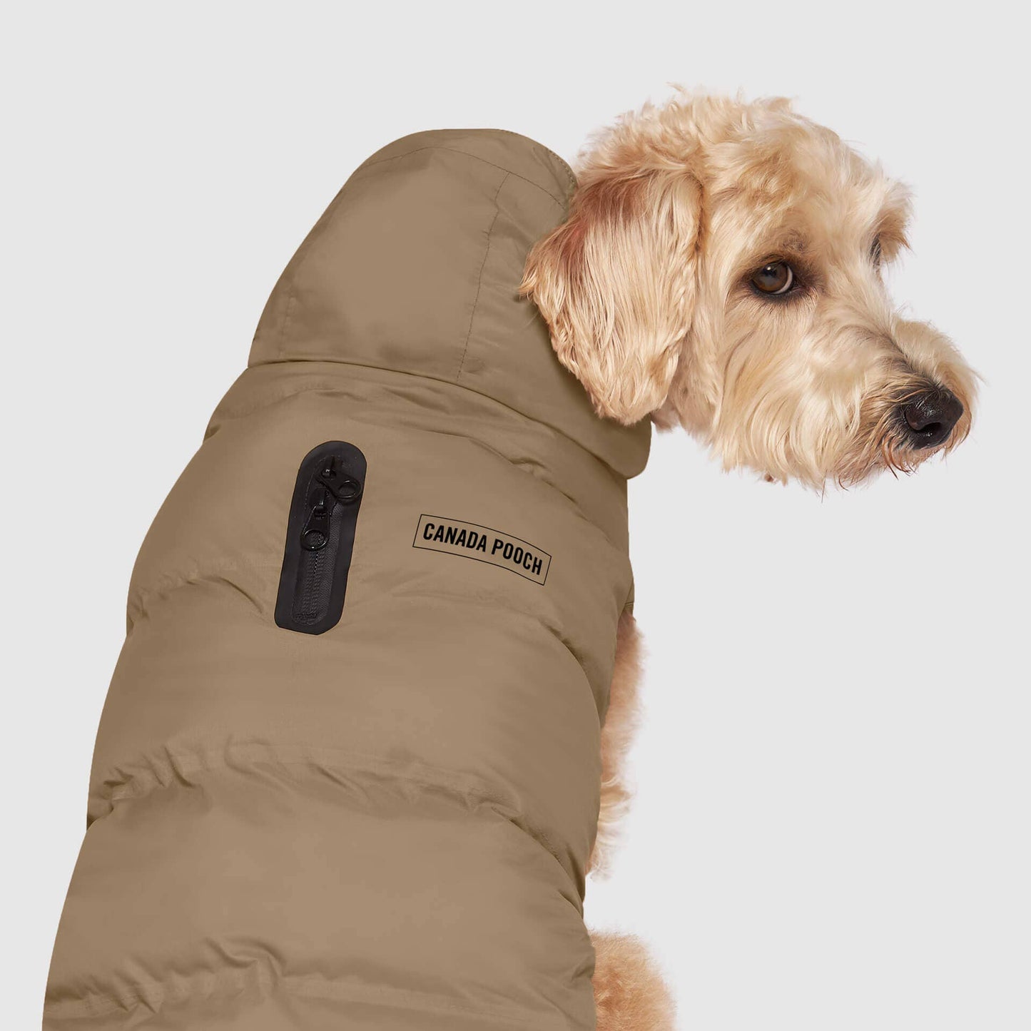 Waterproof Dog Puffer