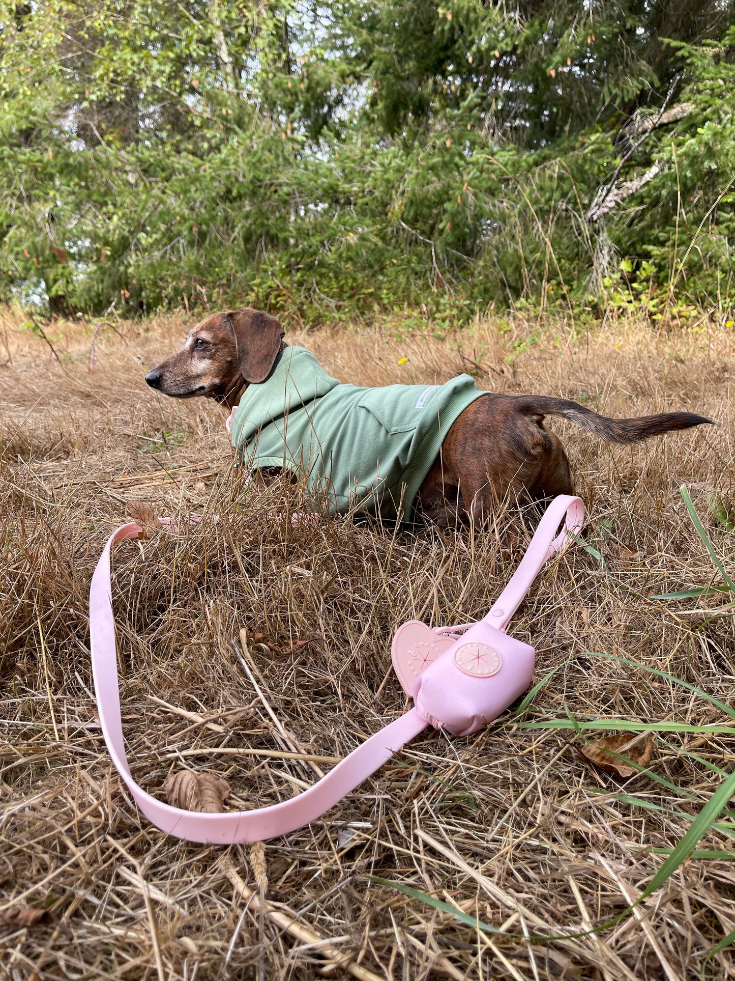 Waterproof Dog Leash - Pink