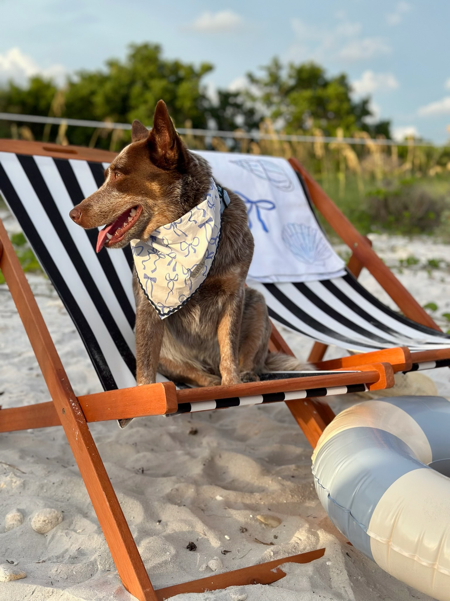 Stella & Oscar Ocean Knot Bandana