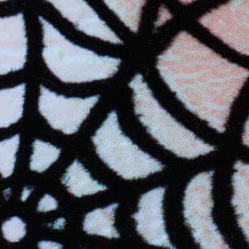 Holographic Spiderweb Dog Collar