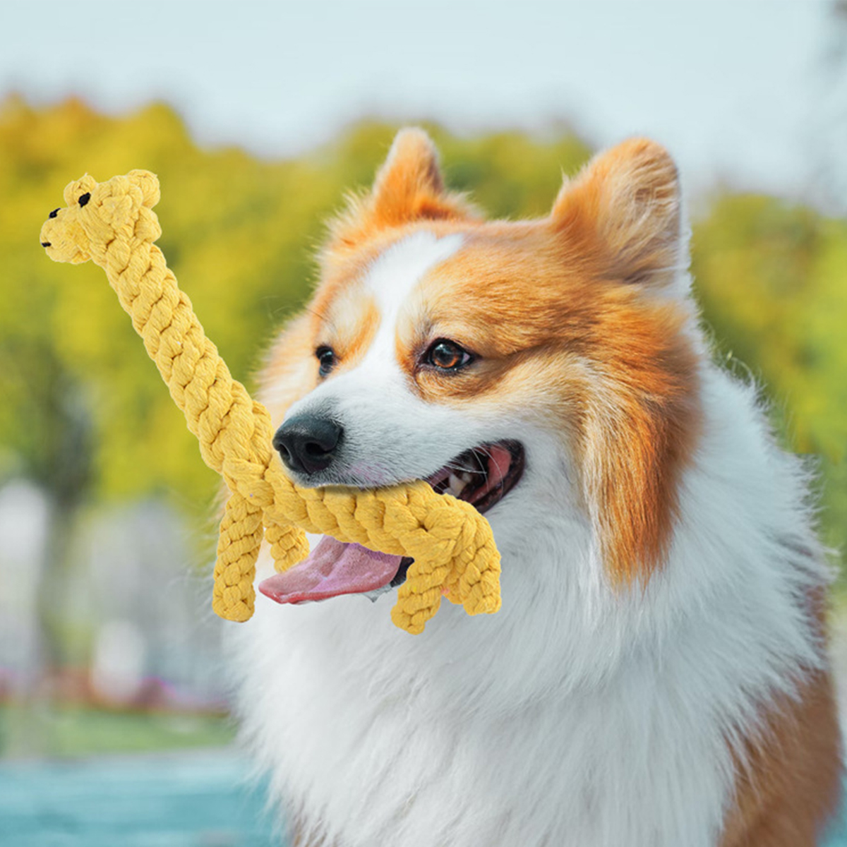 Giraffe Rope Dog Toy