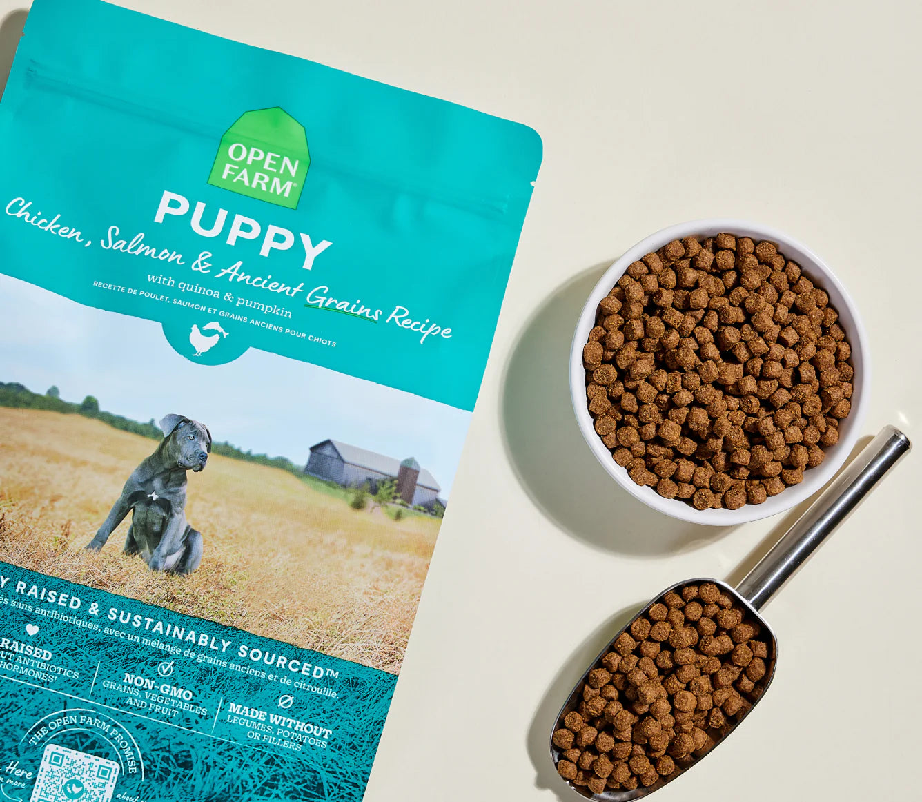 Puppy Chicken & Salmon Ancient Grain Food 4 lb