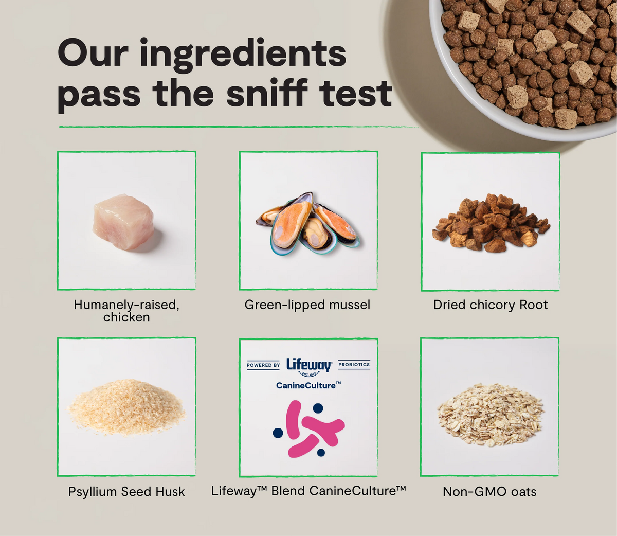 GoodGut Harvest Chicken Dog Kibble