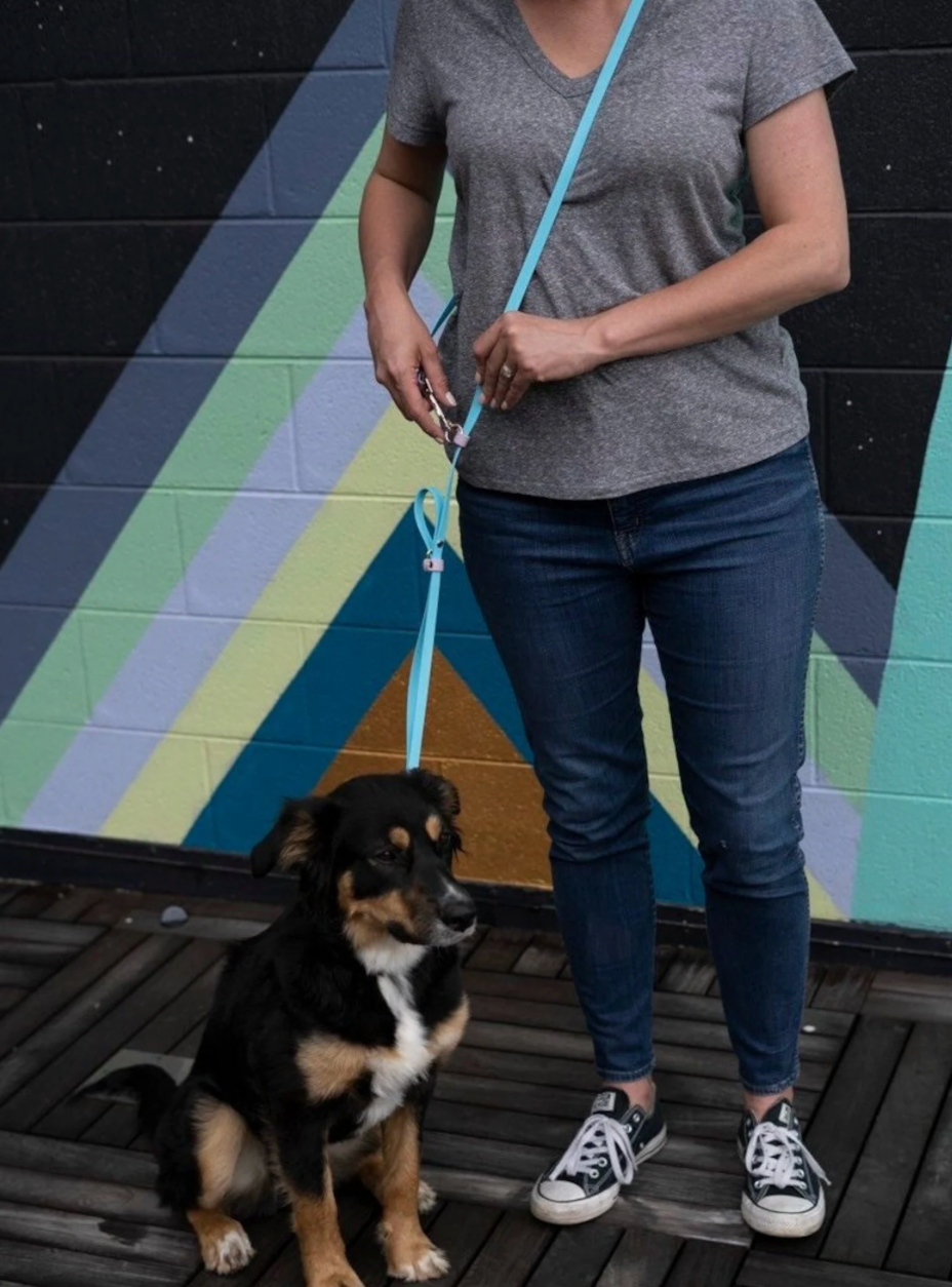 Fawn and Merle Hands-free Leash 6 ft