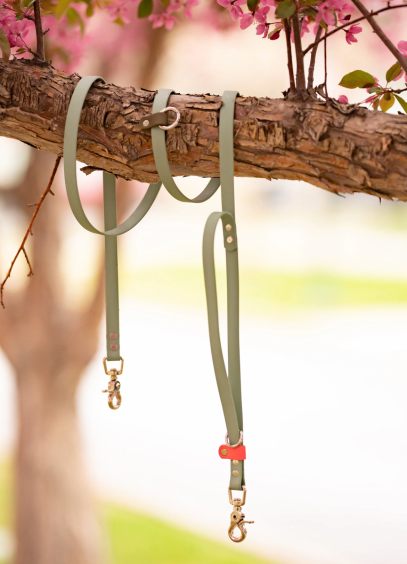 Fawn and Merle Hands-free Leash 6 ft