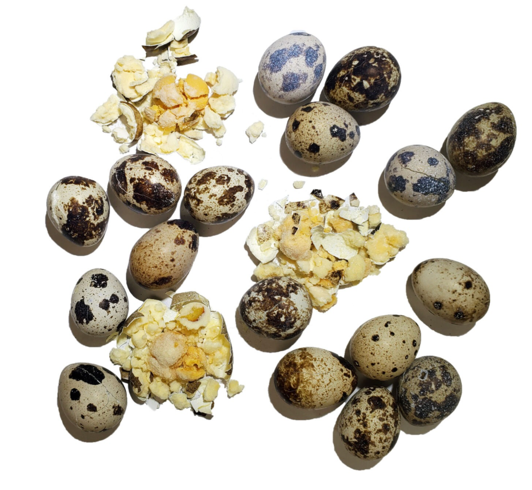 Freeze-Dried Quail Egg Topper