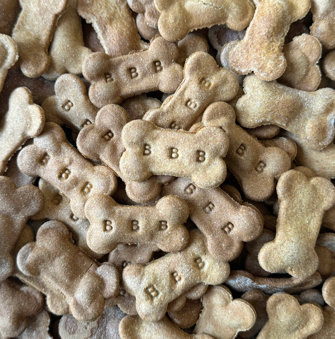 Pumpkin Treats