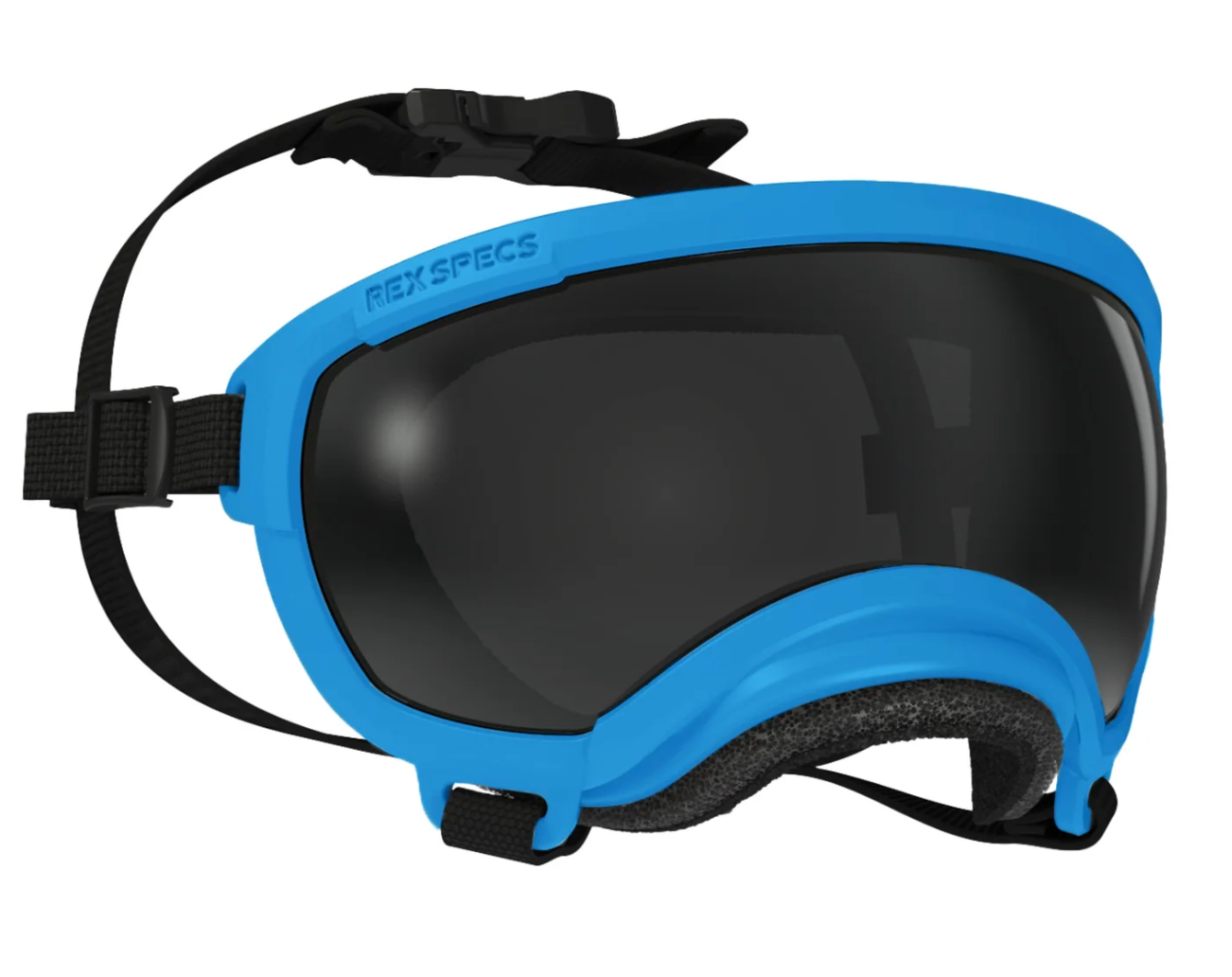 Goggles for Dogs - V2
