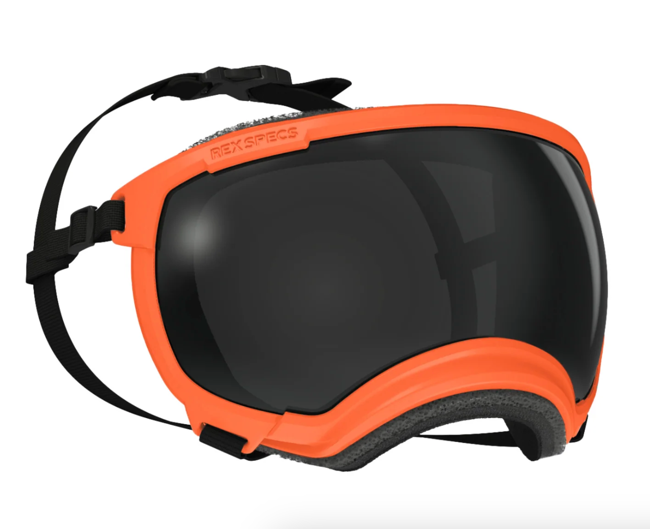 Goggles for Dogs - V2