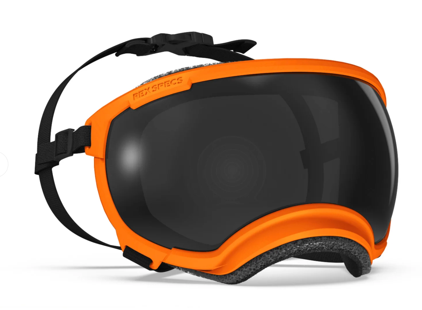 Goggles for Dogs - V2