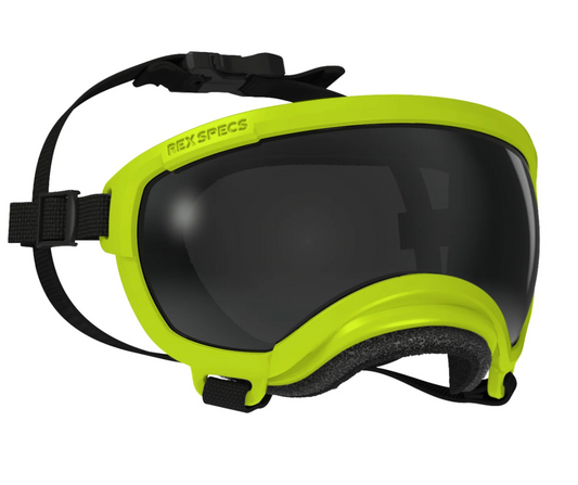 Goggles for Dogs - V2