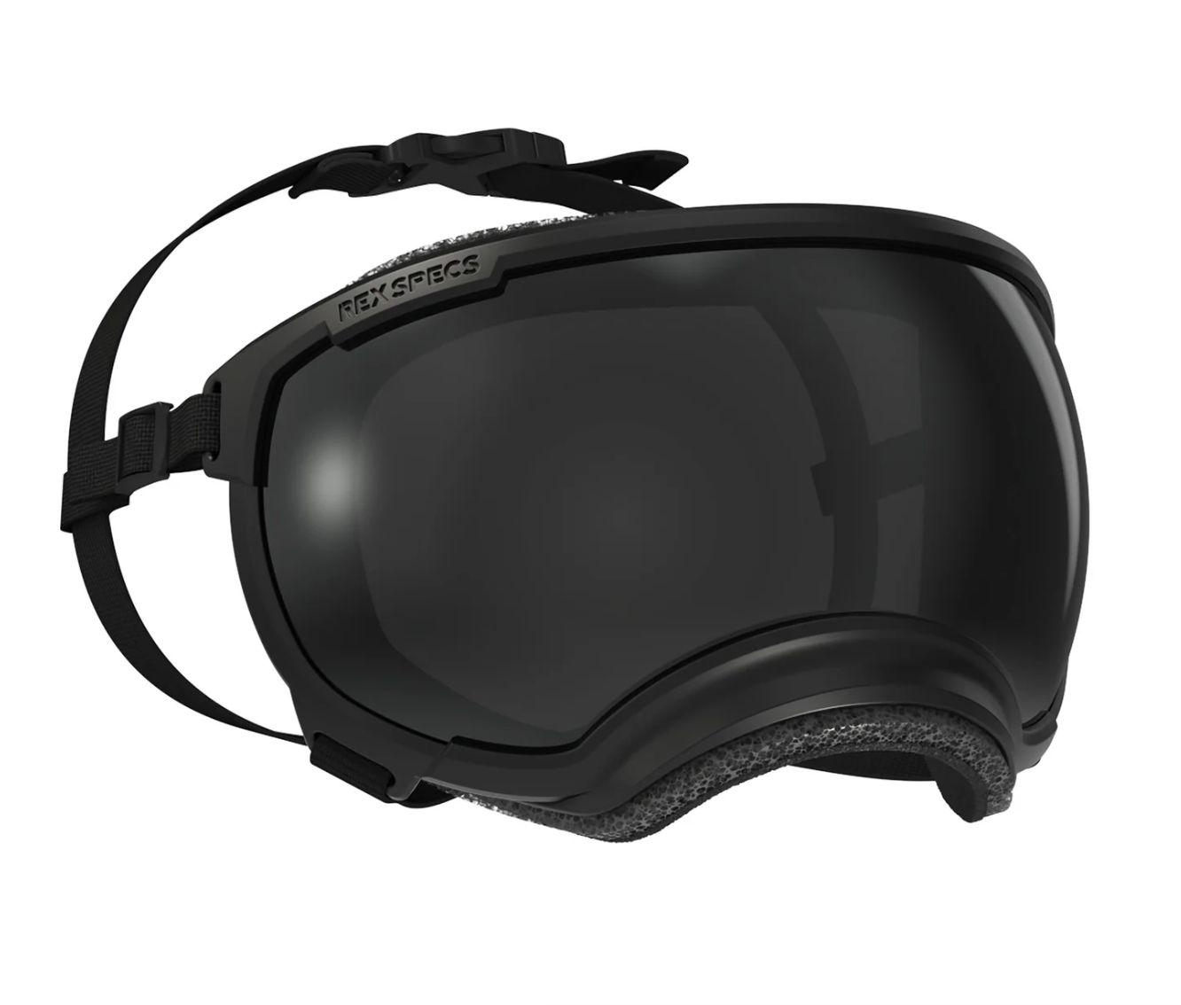 Goggles for Dogs - V2