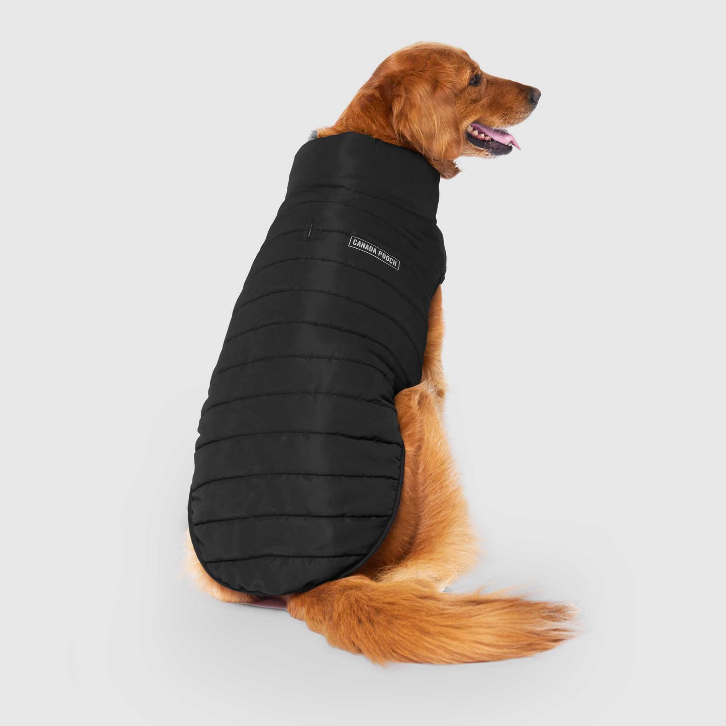 Reversible Puffer Vest- Dog Coat: Red/Black