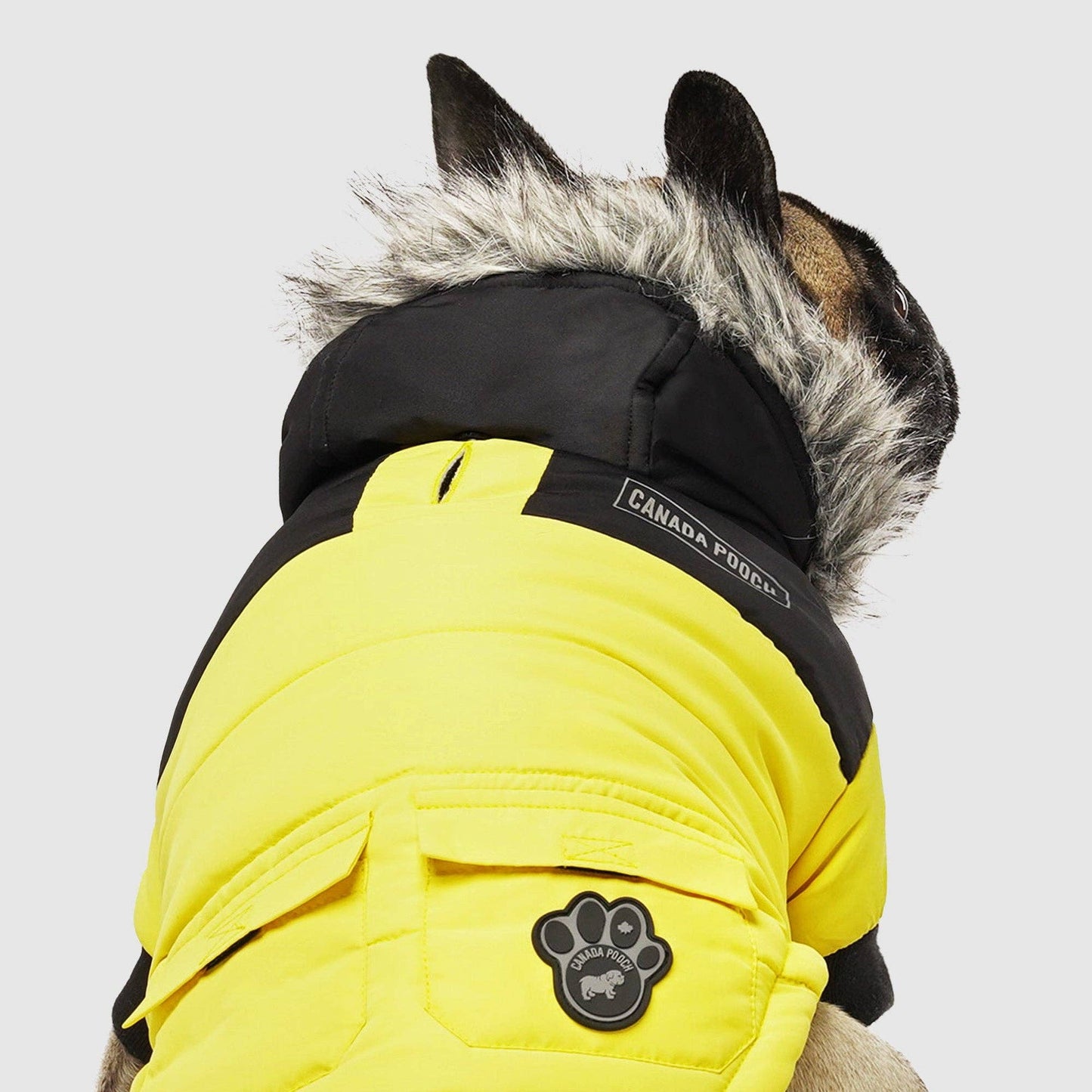 True North Dog Parka: Black / 18
