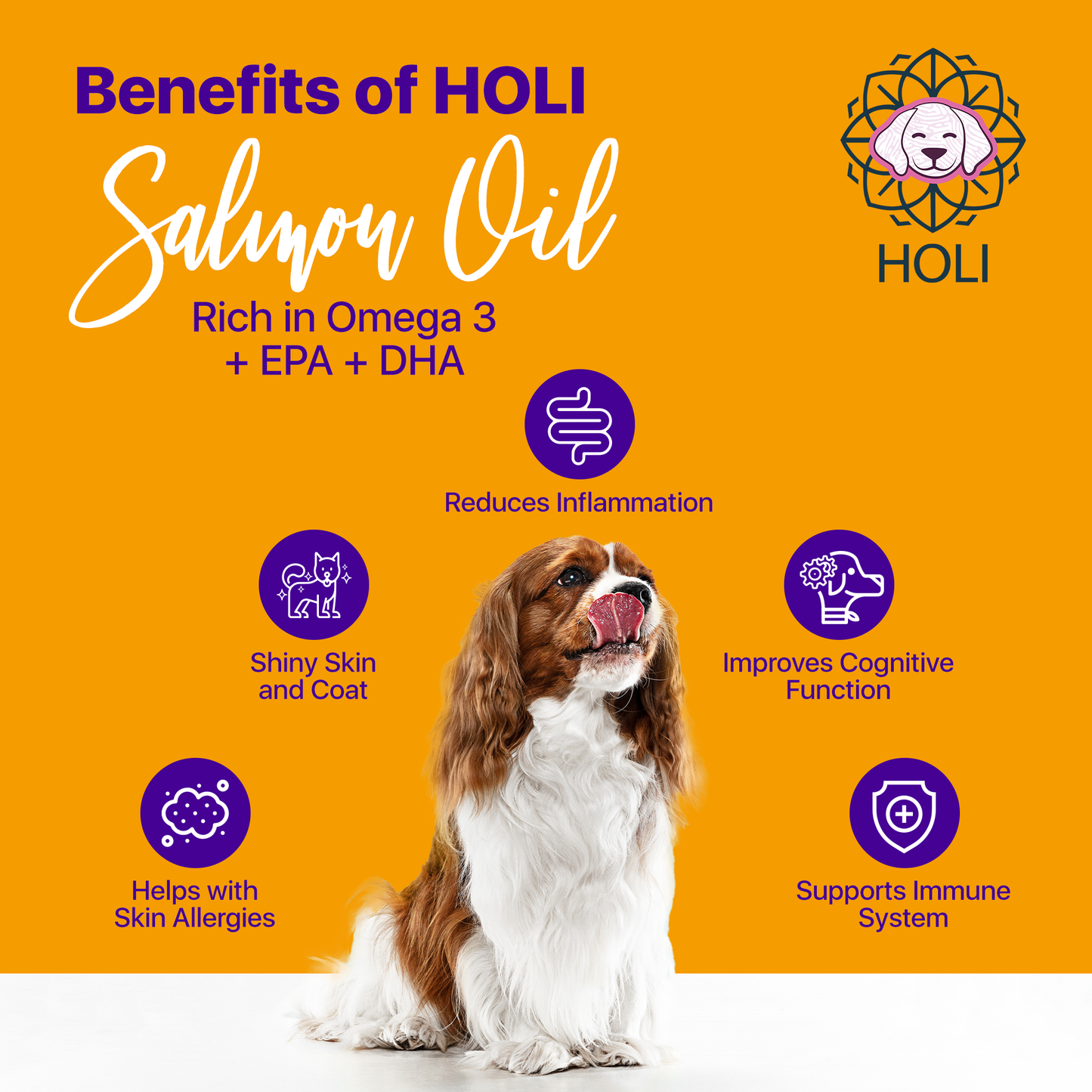 Icelandic Salmon Oil: 10 oz