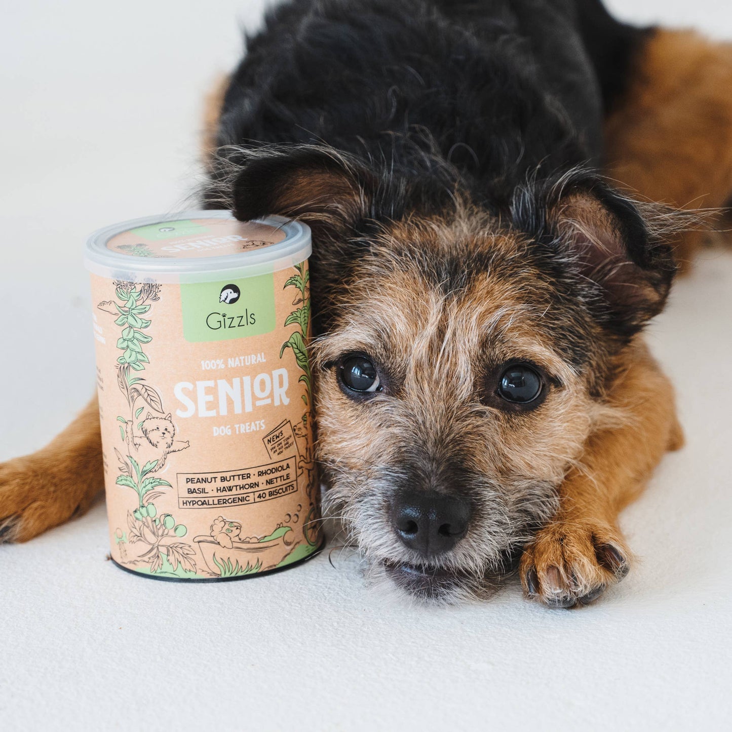 100% Natural Dog Treats for Seniors