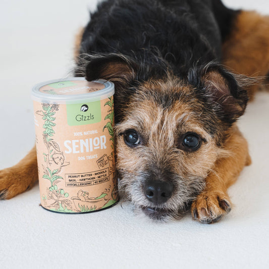 100% Natural Dog Treats for Seniors