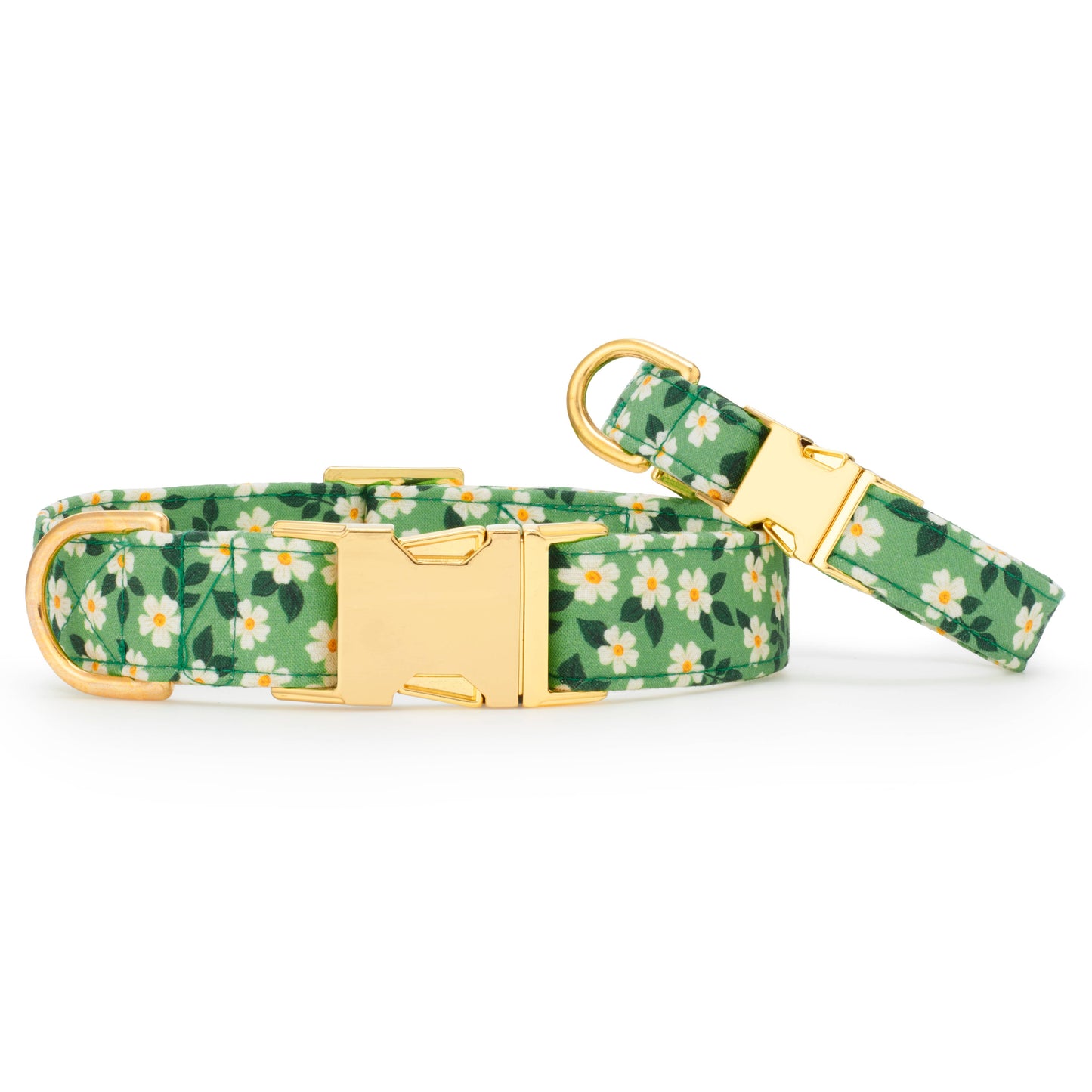 Dainty Daisies Dog Collar