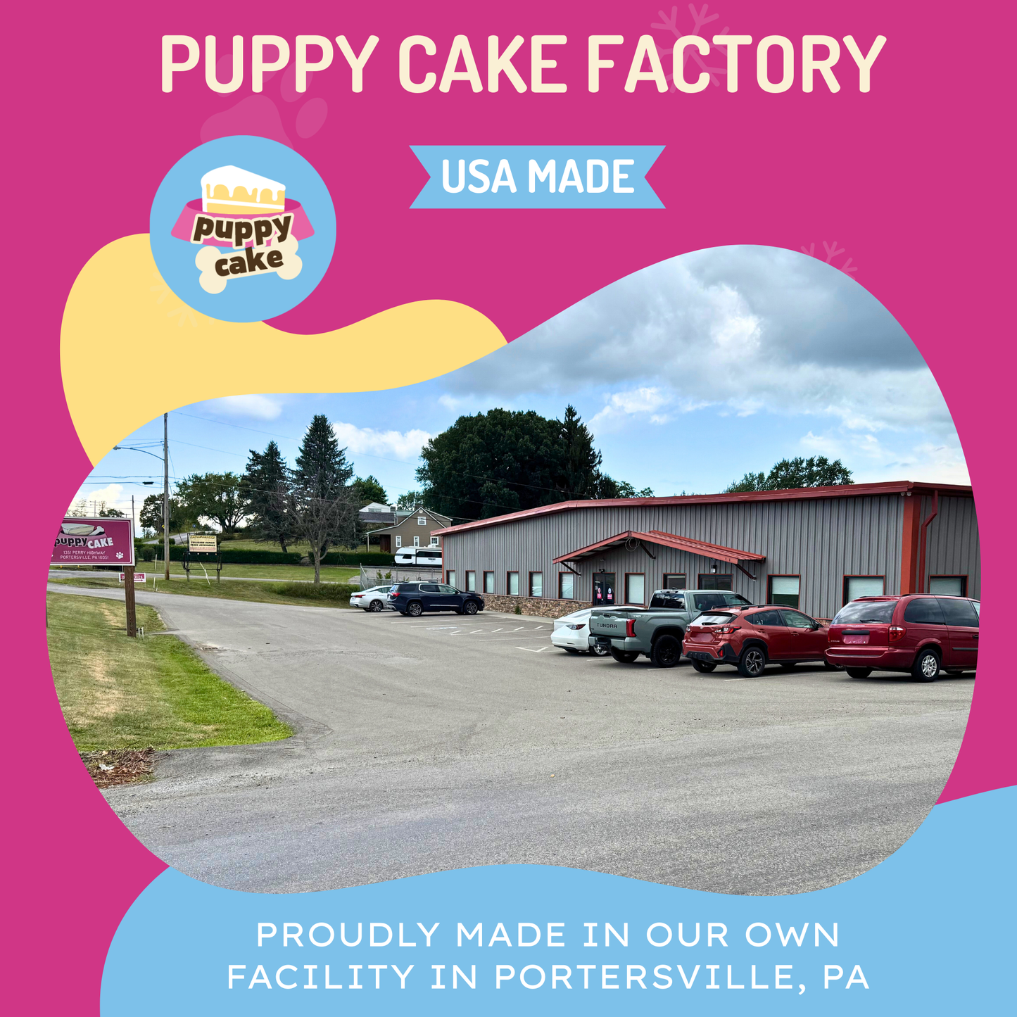 Puppy Cake - Dog Birthday Cake Mixes with Icing: Pumpkin (wheat-free)