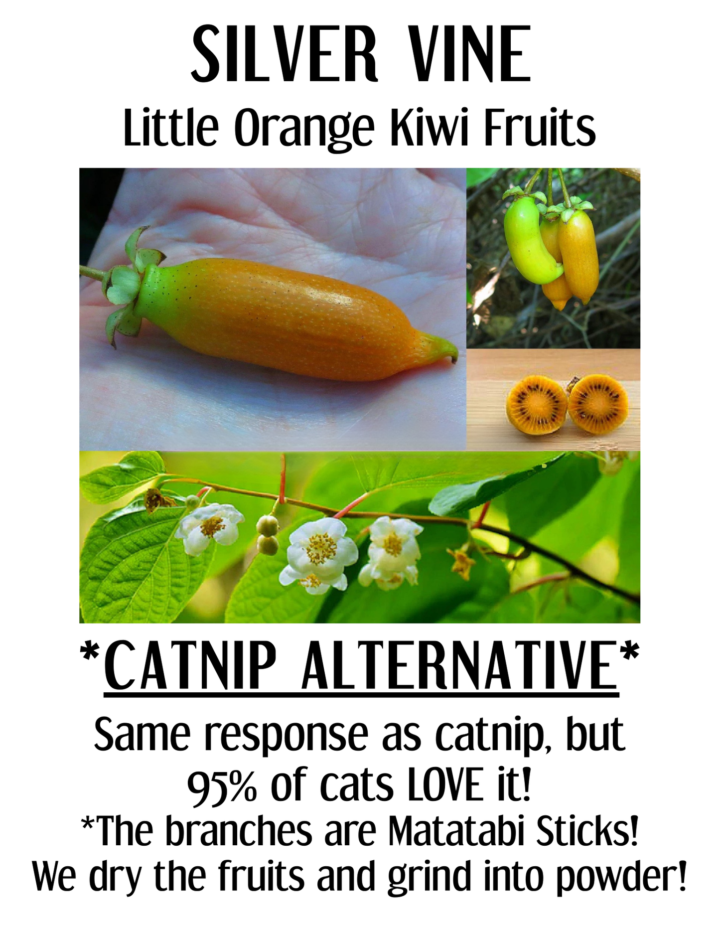 Catnip Silver Vine Kicker Cat Toy