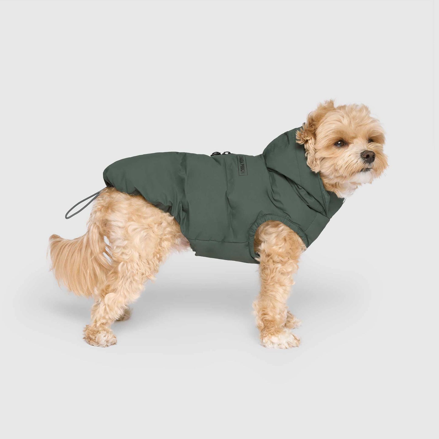 Waterproof Dog Puffer