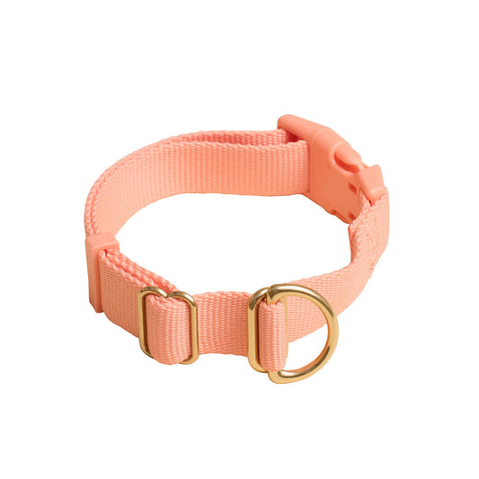 The Mutt Collar | Tension Control & Quick Release Dog Collar Small