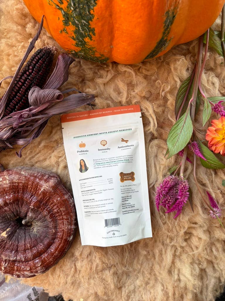 Pumpkin Spice Dog Treats