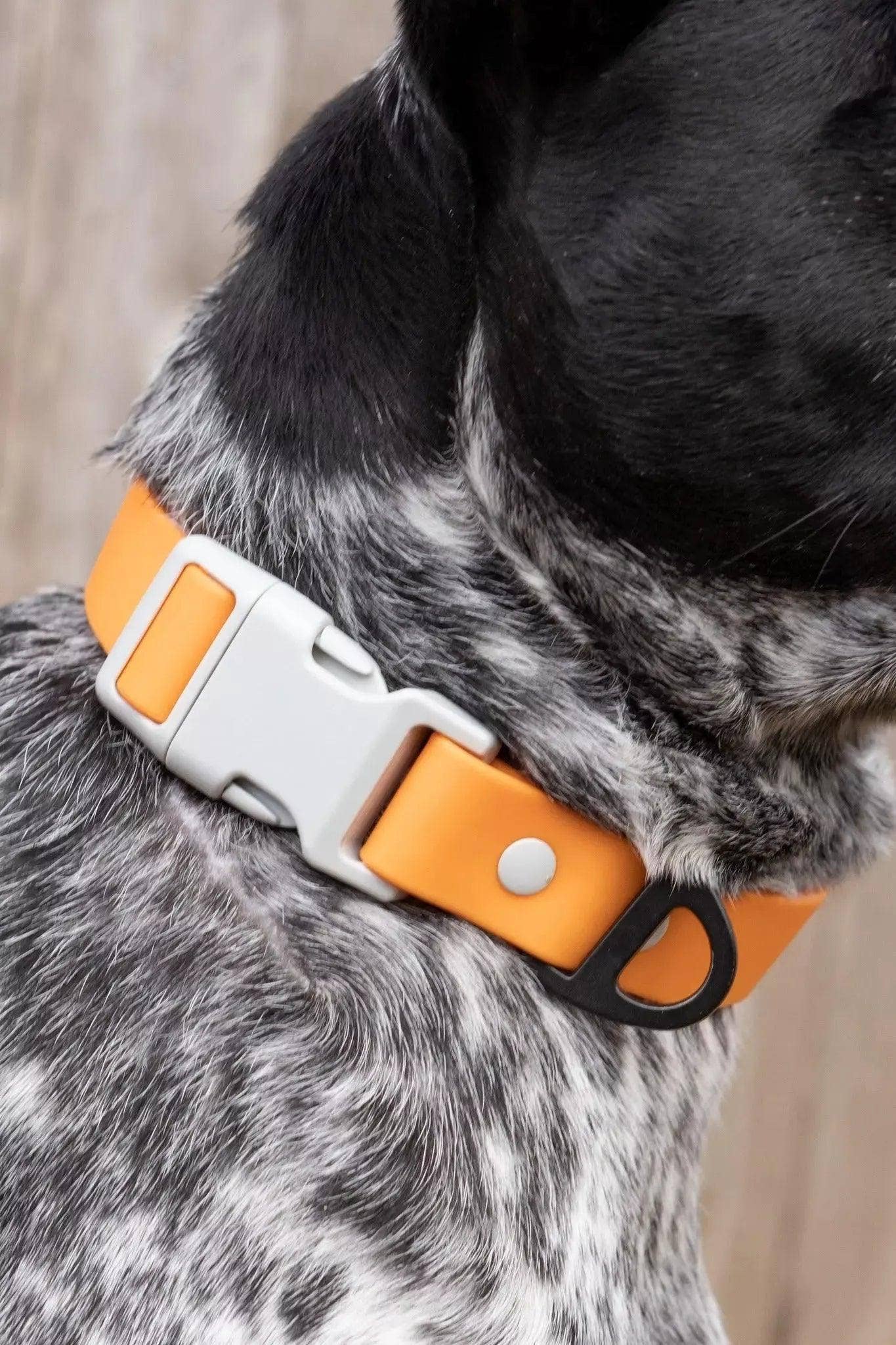Crimson Glow Waterproof Dog Collar: Bright Orange / Gray / 21 - 28