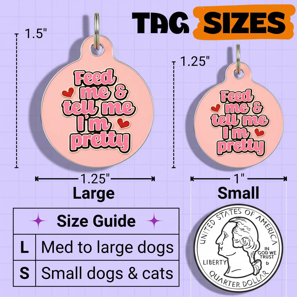 Cute Pet ID Tag & Dog Collar Charm - Tell Me I'm Pretty: Engraved QR Code / Small 1"