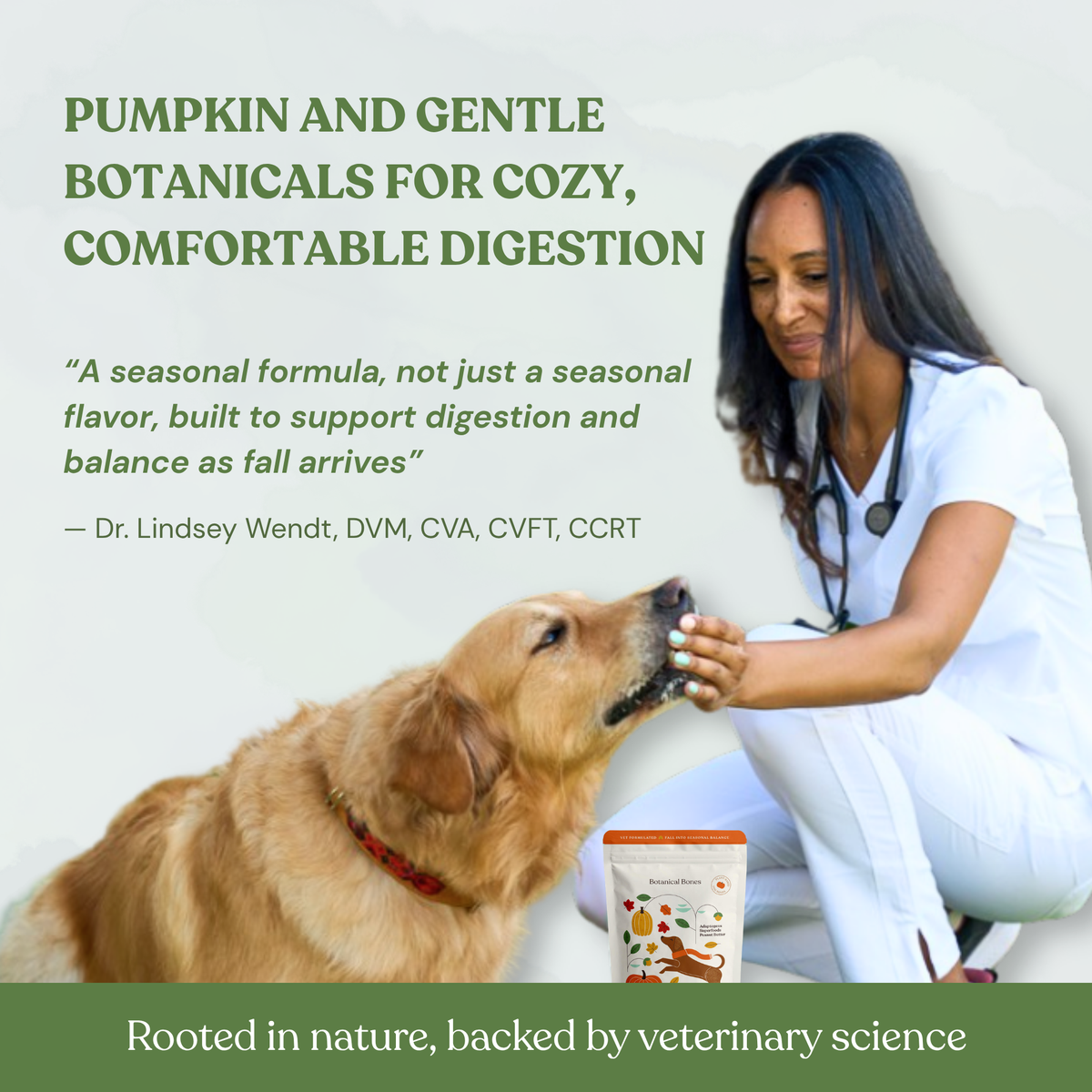 Pumpkin Spice Dog Treats