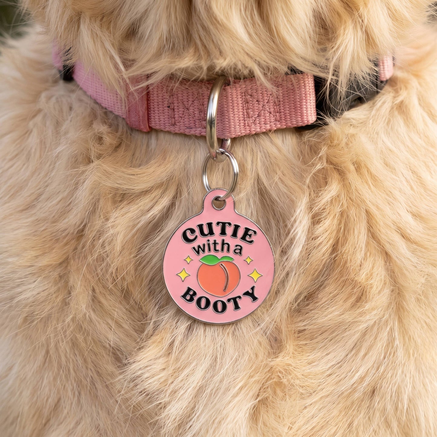 Funny Dog Charm & Pet ID Tag - Cutie with a Booty *Pink: Large / Digital Pet ID (QR Code)