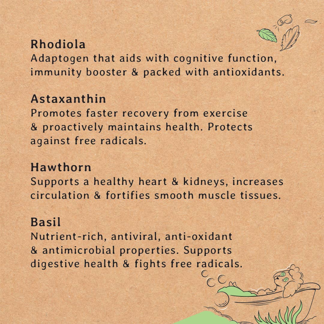 100% Natural Dog Treats for Seniors