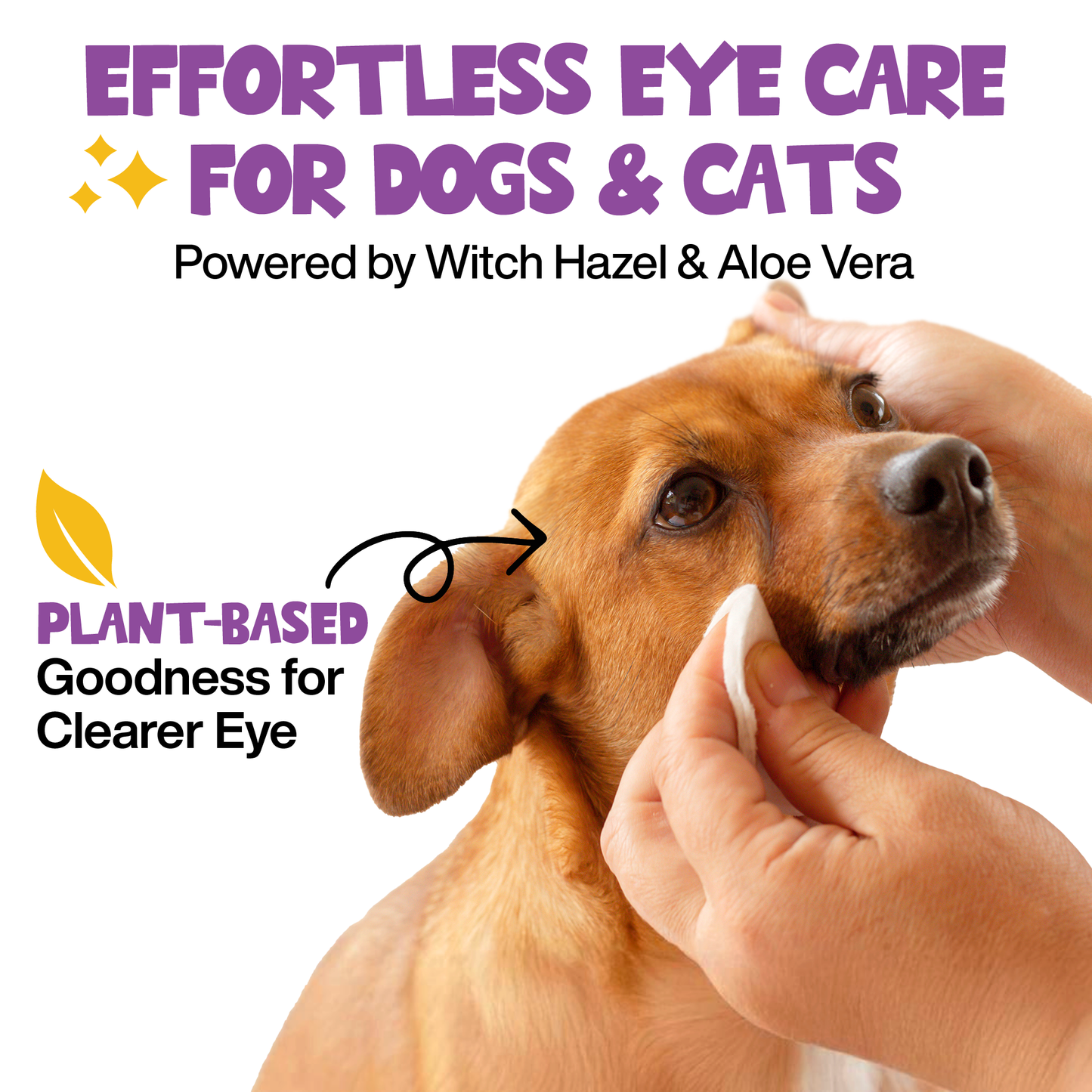 Roofus Dog Eye Wipes | Fragrance Free