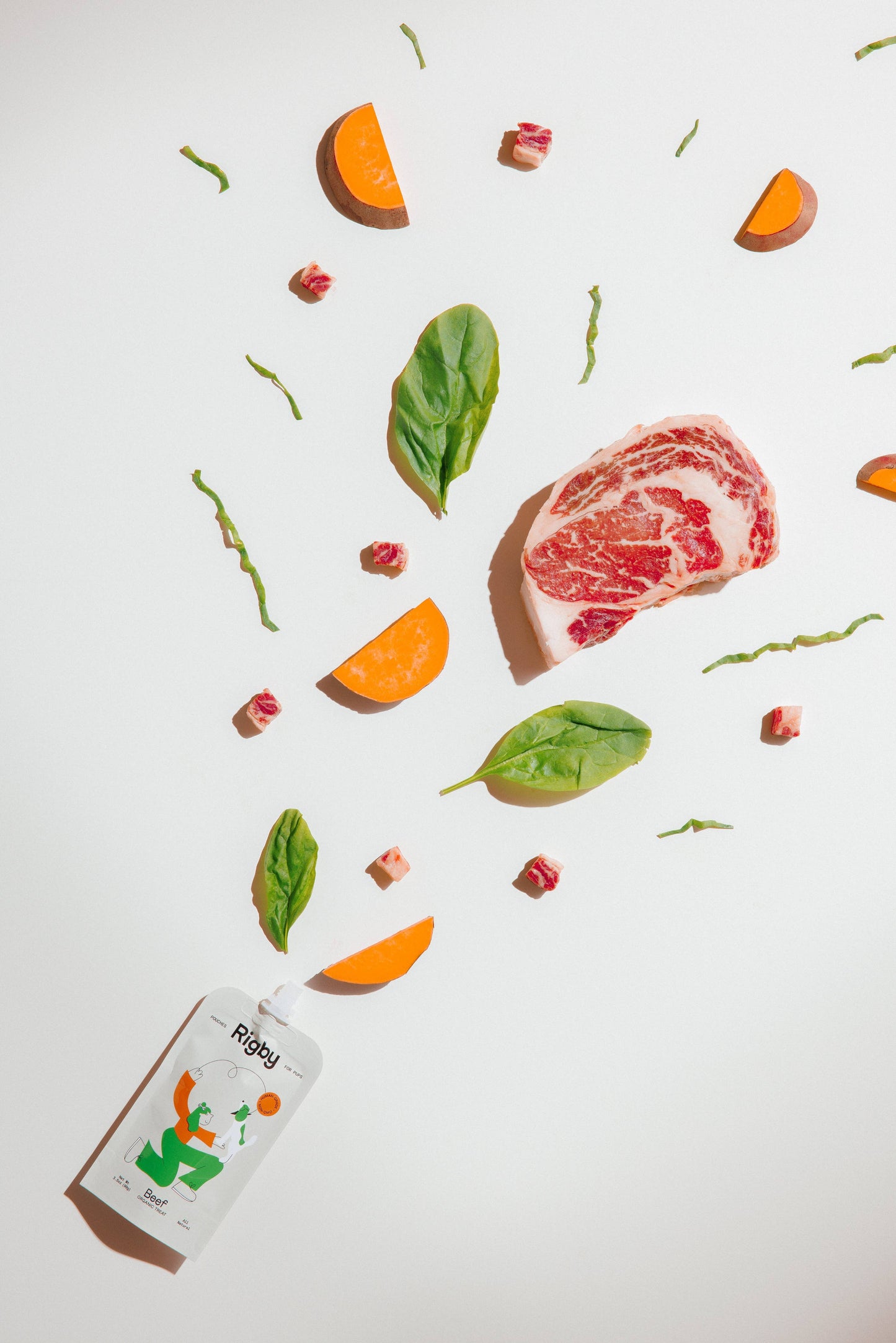 Organic Beef Squeeze Pouch for Dogs