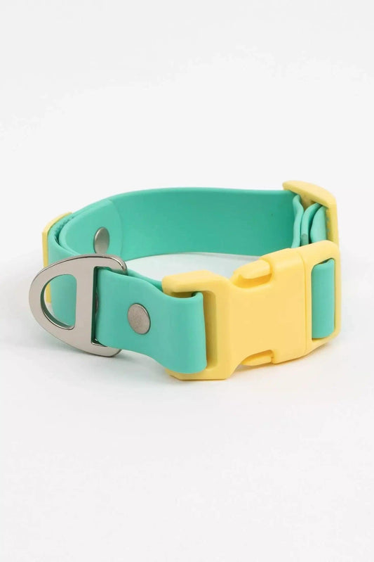 Island Vibes Waterproof Dog Collar: Aqua / Sunshine Yellow / 11 - 13