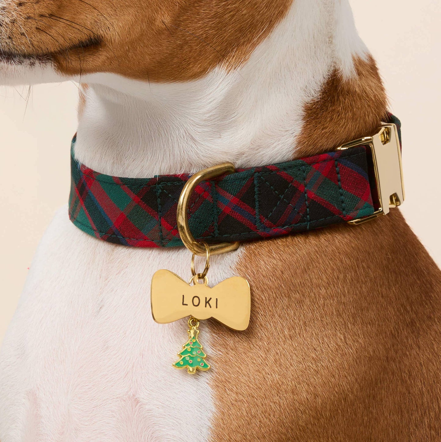 Highland Plaid Dog Collar