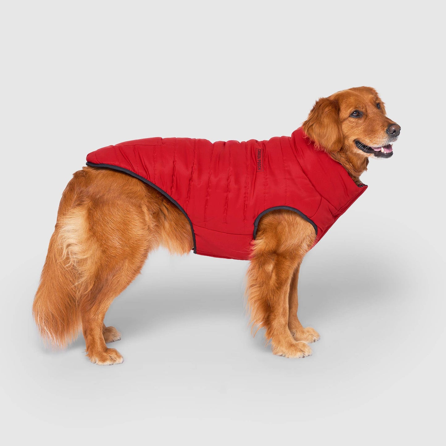 Reversible Puffer Vest- Dog Coat: Pink/Purple
