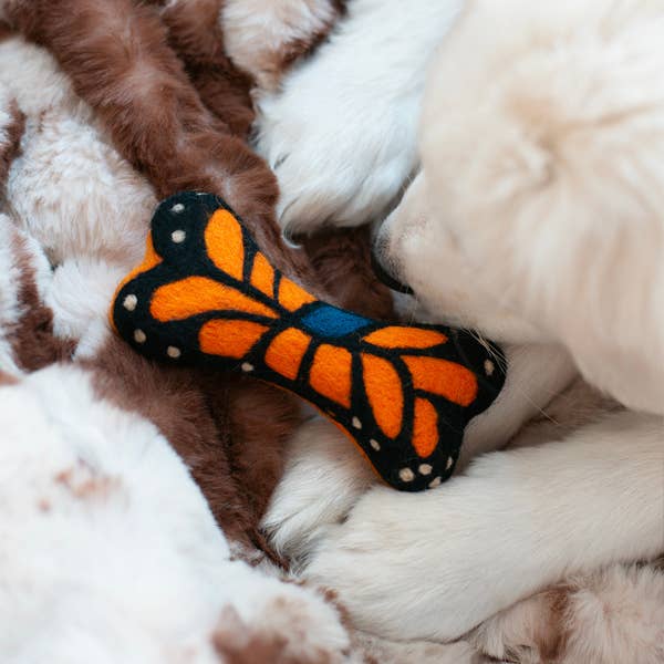 Butterfly WOOLBONE DOG TOY