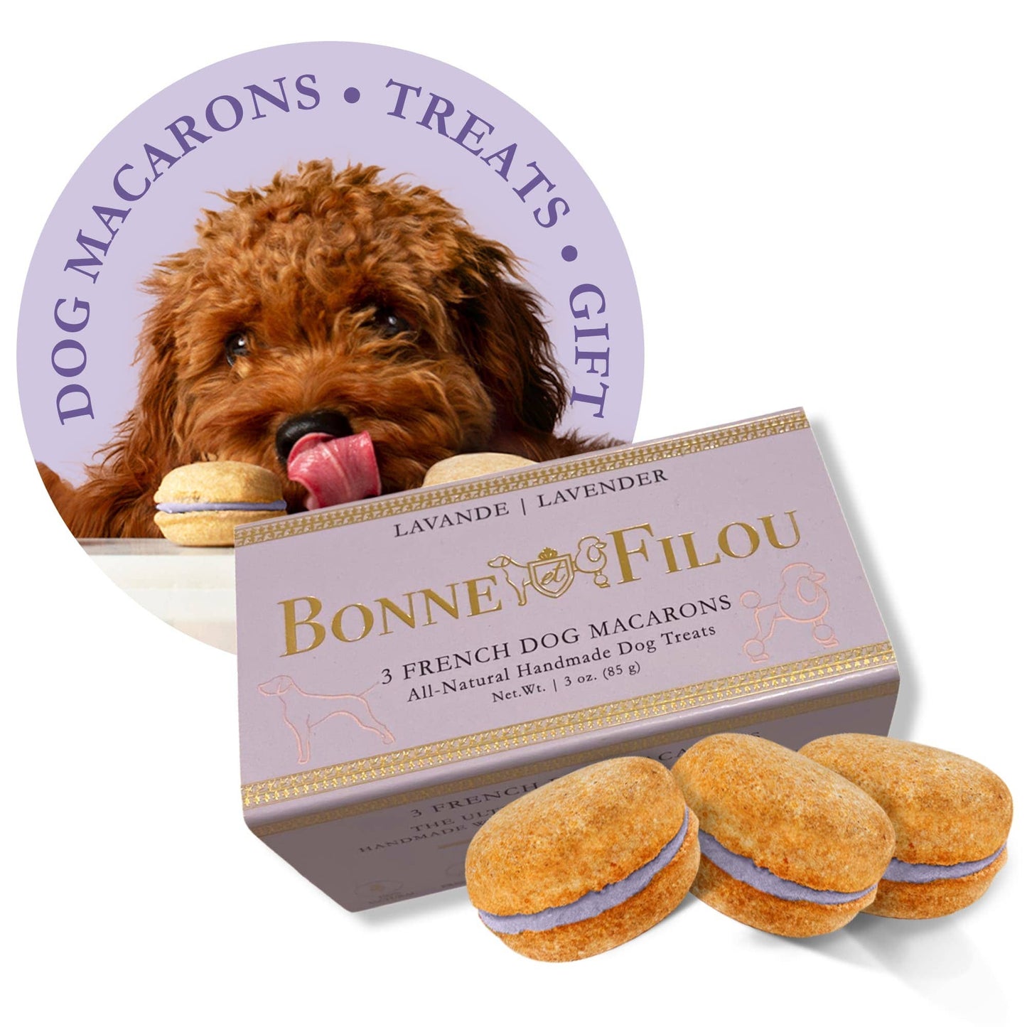 Bonne et Filou Dog Macarons | Pumpkin