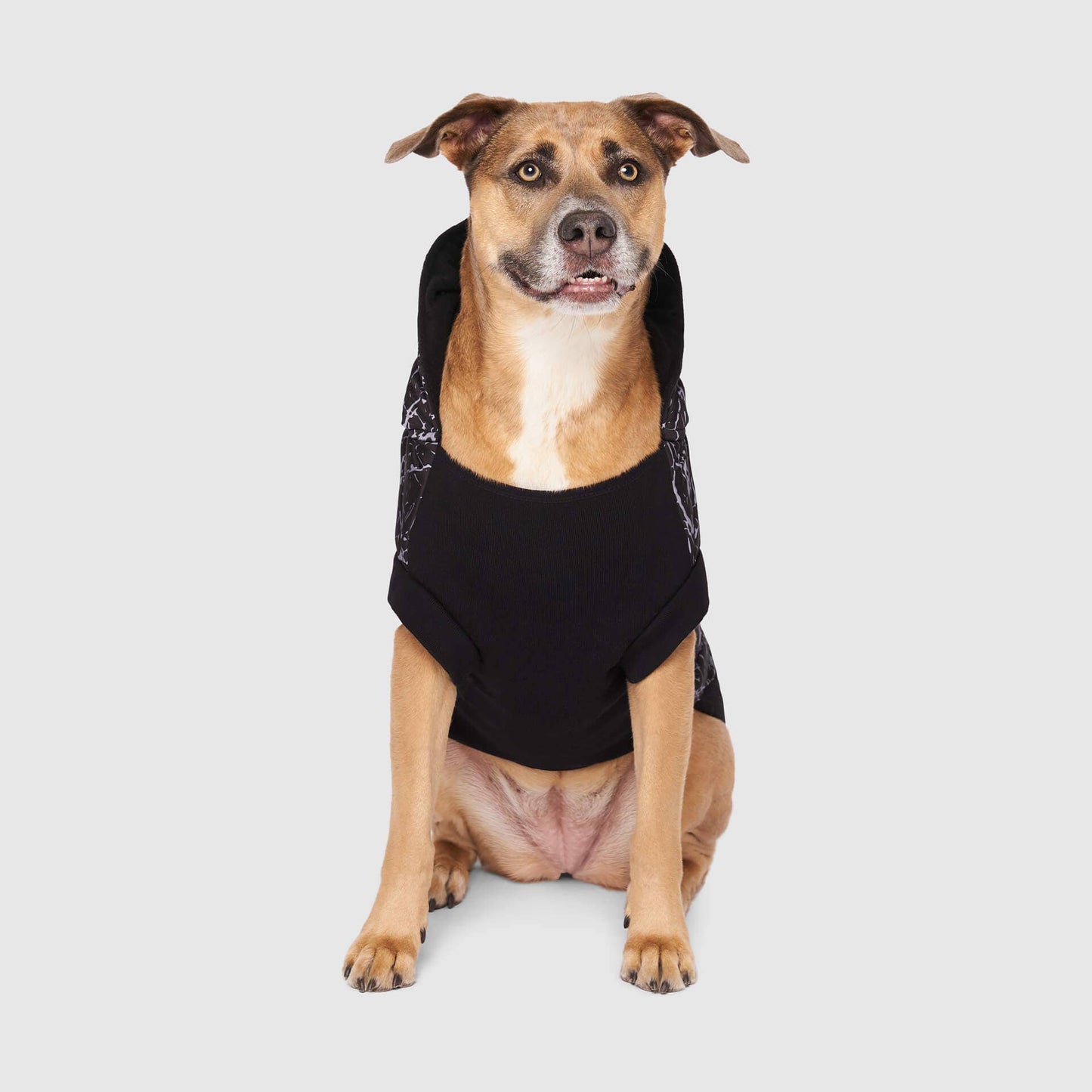 Prism Puffer- Dog Coat: Galaxy / 8