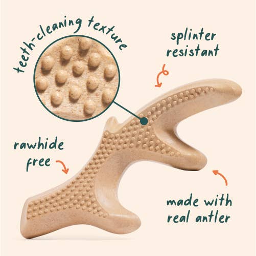 HonestChew: Antler